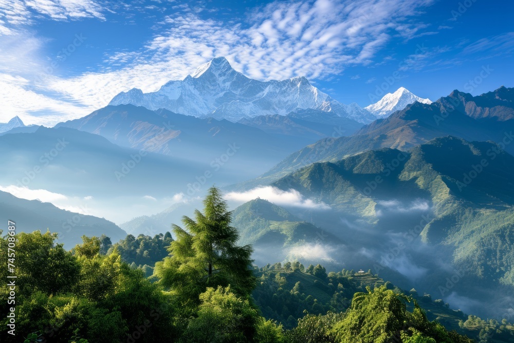 Discover the enchanting beauty of a morning mountain embraced by the soft morning light