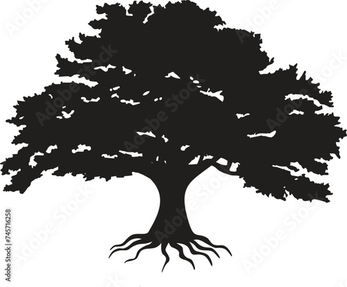 Detailed tree silhouettes of various trees on white background