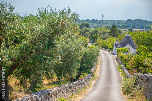 Road to Puglia. Street between olive trees and Trulli typical houses