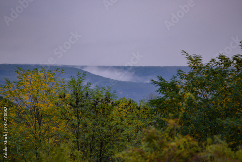 Evening landscape with fog rising above the green forest that will change in the autumn season