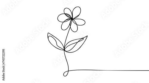 Poppy flower line art. Minimalist contour drawing. One line artwork