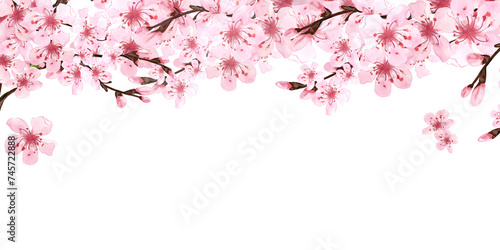 Template of Sakura branches on white background. Pink sakura flowers. Background in watercolor style. Cherry blossom branches. Hanami festival. Hand drawn illustration © YustasArt