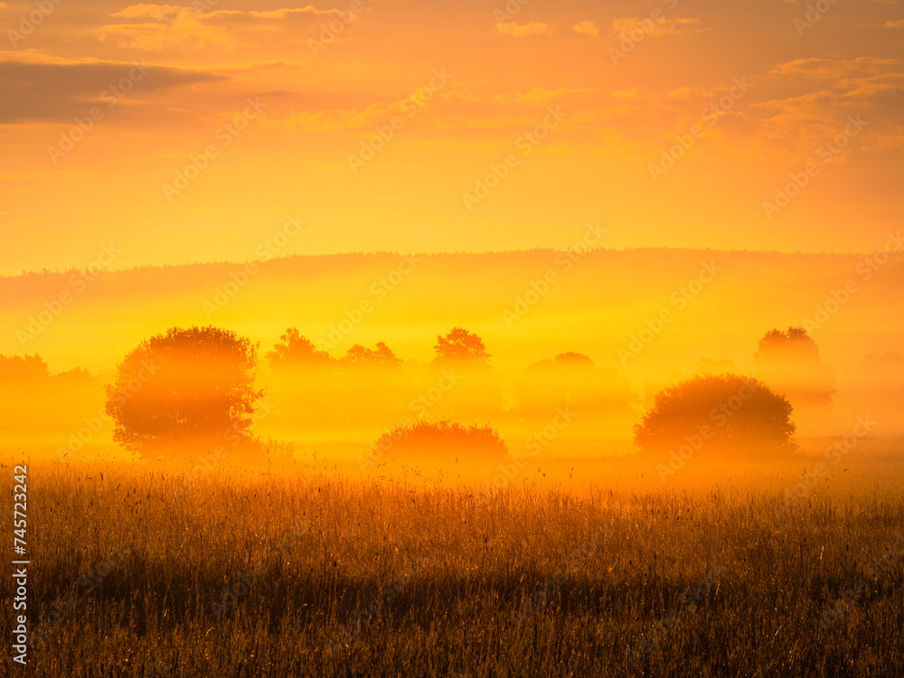 Golden Sunrise Over a Misty Field in Mölndal, Sweden, Signaling the Start of a New Day