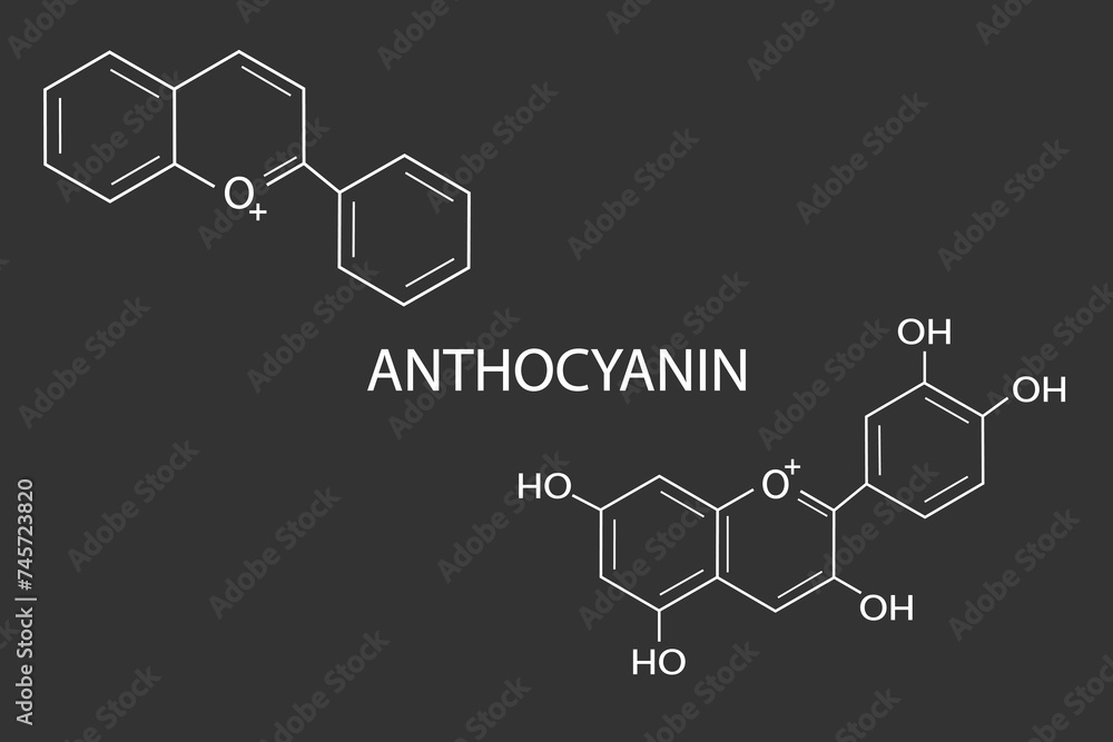 Fototapeta premium anthocyanin molecular skeletal chemical formula
