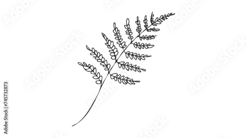 One line drawing fern. Continuous line exotic tropical plant