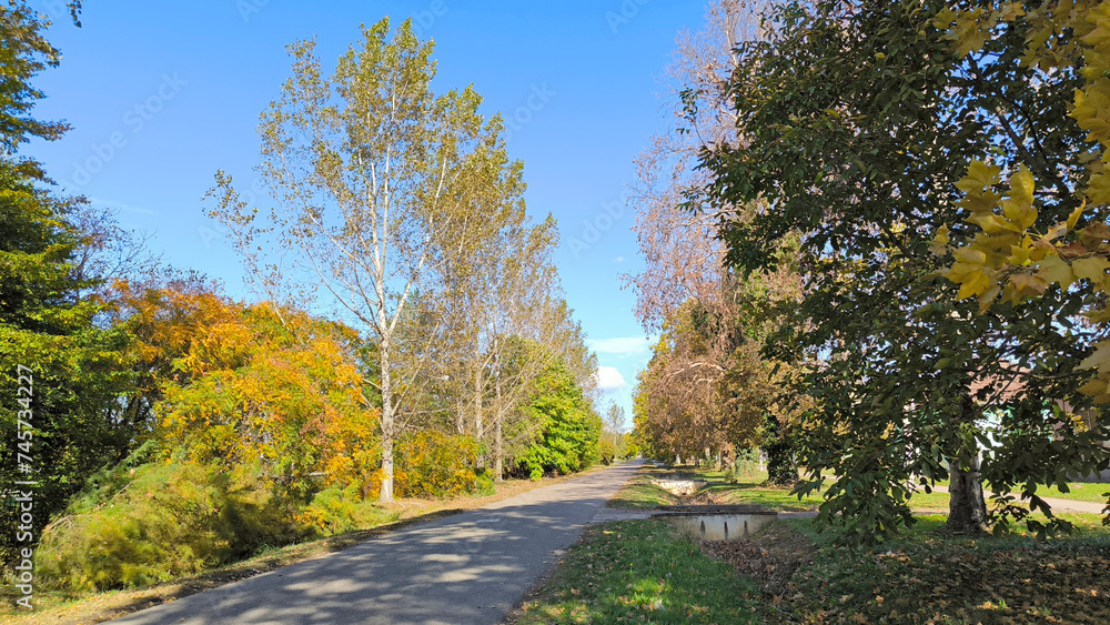 autumn landscape in rural village Backi Petrovac, Vojvodina