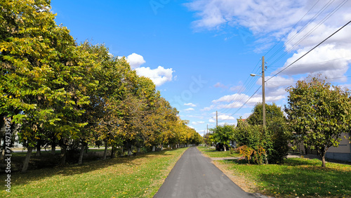 autumn landscape in rural village Backi Petrovac, Vojvodina photo