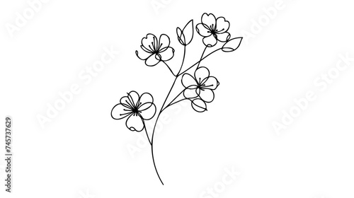 Hand drawn cherry blossom. Sakura branch with flower one continuous line art. Blooming Apple tree Vector illustration