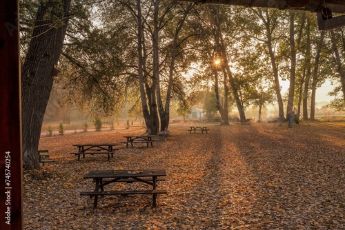 Fototapeta Naklejka Na Ścianę i Meble -  bench in autumn park