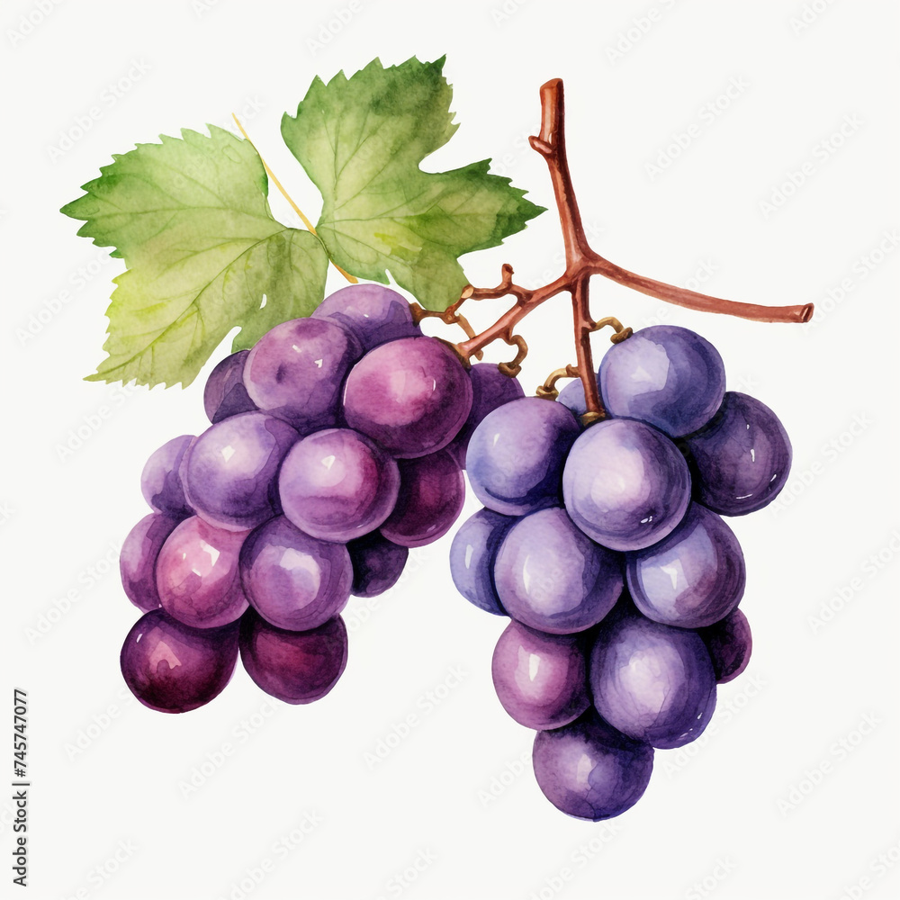 Fototapeta premium watercolor grape clipart for graphic resources сreated with Generative Ai