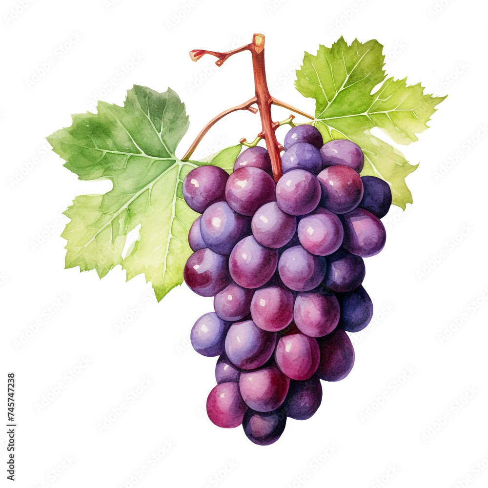 Fototapeta premium watercolor grape clipart for graphic resources сreated with Generative Ai