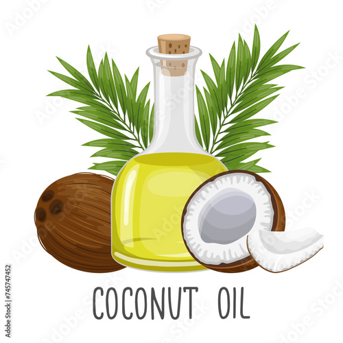 Coconut oil in a glass bottle, coconut and coconut leaves on a white background. Illustration. Vector
