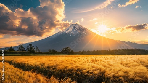 Fujiyama fujisan photo landscape at golden hour with gry grass agricultural field and some trees at foreground photo