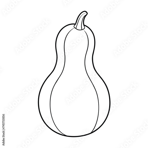 Vector of butternut squash illustration coloring page for kids