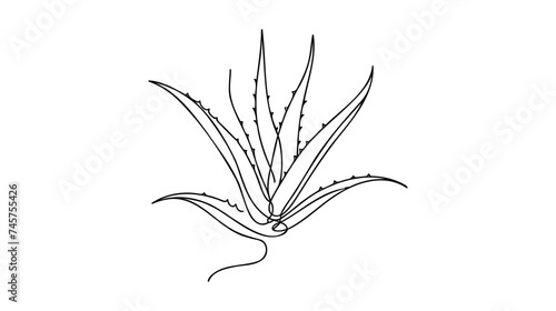 One single line drawing of healthy organic green aloe vera for farm logo identity.