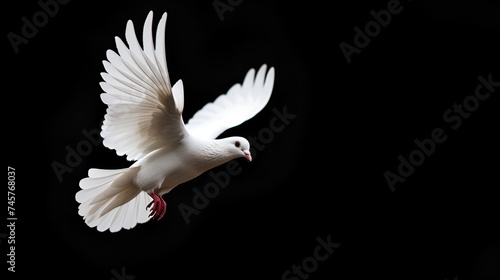 white dove in flight, generative ai