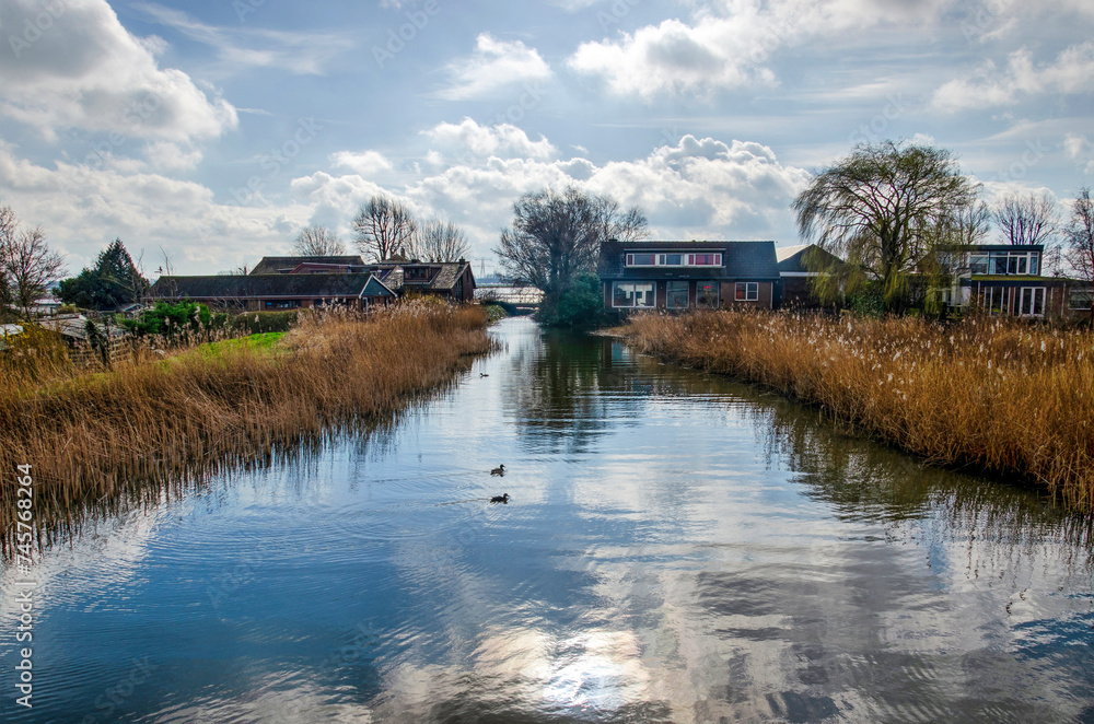 Fototapeta premium The very beginning of the Rotte river, 20 km north of Rotterdam, on a sunny day in late winter
