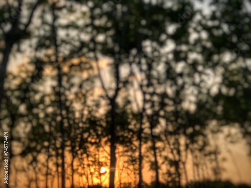 sunset in the forest blur image 