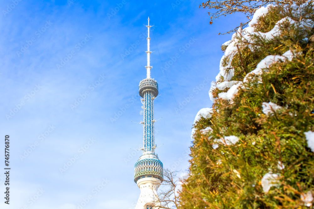 Obraz premium The Tashkent TV Tower view with a fir tree in the front. Selective focus on a TV Tower. Standing at a height of 375 meters, this iconic tower is situated in the city of Tashkent, Uzbekistan.