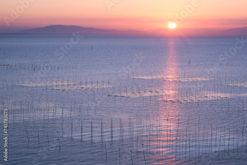 有明海の海苔棚が映える朝の風景