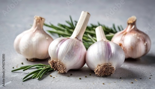 Garlic. Garlic bulbs. Fresh garlic with rosemary and pepper on white concrete board