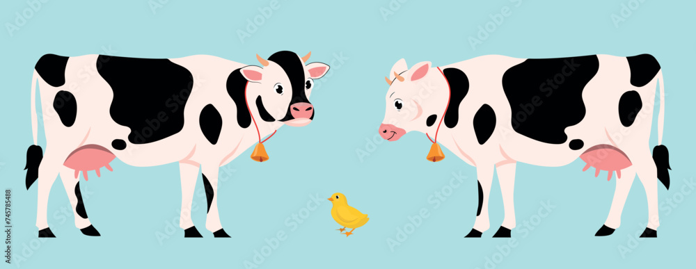 Vector illustration of cute cows and little chickens. Cartoon scene of beautiful animals: big cows with dark spots, udders, bells on neck, and little yellow chick isolated on white background. Vector illustration of cute cows and little chickens. Cartoon scene of beautiful animals: big cows with dark spots, udders, bells on neck, and little yellow chick isolated on white background.