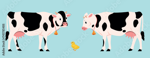 Vector illustration of cute cows and little chickens. Cartoon scene of beautiful animals: big cows with dark spots, udders, bells on neck, and little yellow chick isolated on white background.