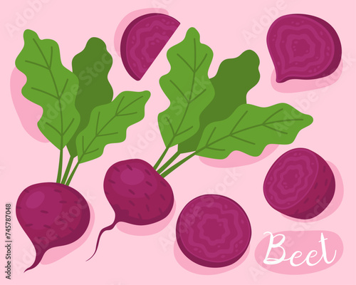 Beet. Purple beets with green leaves. Fresh vegetable. Ingredient for cooking. 