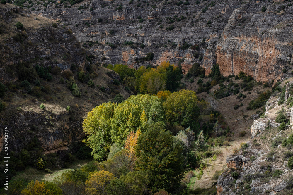 meander, Las Hoces del Río Duratón Natural Park, Segovia province, Spain