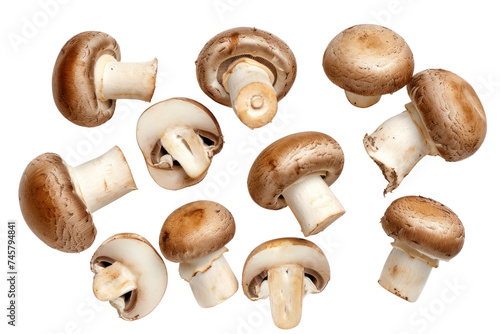 Top view. Collection of shiitake mushrooms isolated on transparent background.