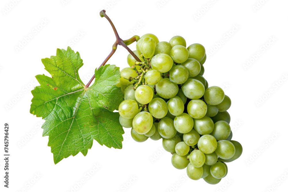 Fresh grapes. Green grapes isolated on transparent background. Fresh grapes. Green grapes isolated on transparent background.