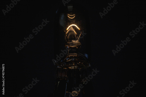tungsten filament in a glass bulb. Classic car bulb, close up view. Accessories and spare parts for vehicles. Electric elements, light identification. dark background © Sergey