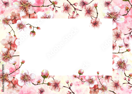 A blossoming branch from spring tree template illustration. Hand drawn blossoms sakura, cherry or apple buds and flowers on watercolor stain splashes background Springtime banner Isolated illustration