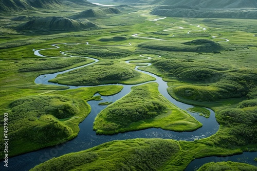Vast landscape of Arctic moss, with intricate textures and a palette of greens and browns photo