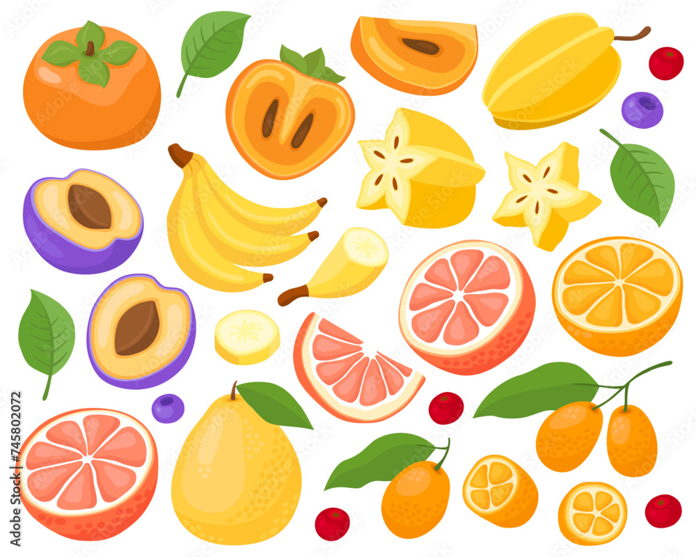 Various tropical fruits on a white background.
Banana, carambola, grapefruit, pomelo, kumquat, orange, plum, persimmon, berries. Fruits and slices, summer illustration. Various tropical fruits on a white background.
Banana, carambola, grapefruit, pomelo, kumquat, orange, plum, persimmon, berries. Fruits and slices, summer illustration.