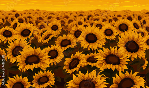 A field of sunflowers vector simple 3d smooth cut isolated illustration