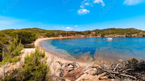 Landscapes  summer Mediterranean sea and beaches of the island of Porquerolles  in Hy  res  in the Var in France