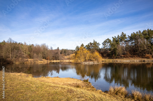 Amazing pond in spring landscape under blue sky