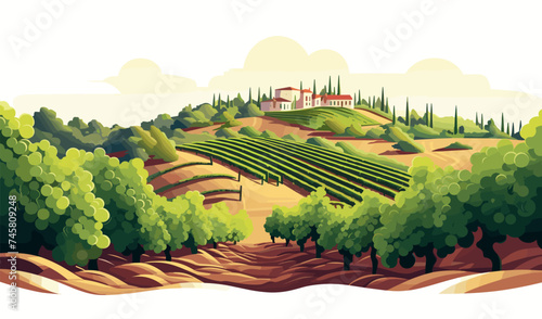 A vineyard vector simple 3d smooth cut and paste isolated illustration photo