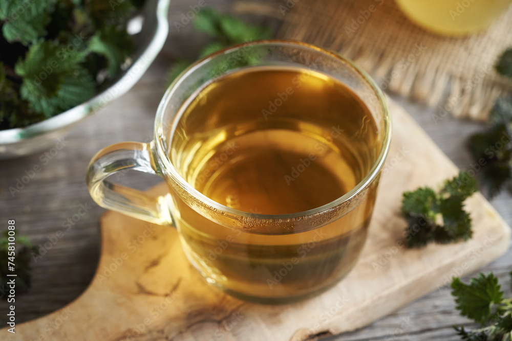 A cup of herbal tea with fresh nettle leaves harvested in early spring A cup of herbal tea with fresh nettle leaves harvested in early spring