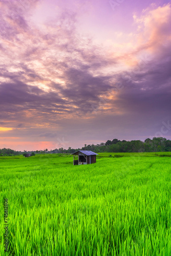 beautiful morning view from Indonesia of mountains and tropical forest