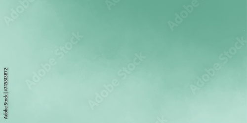 Green isolated cloud fog and smoke,for effect empty space.ethereal galaxy space,dreaming portrait,realistic fog or mist liquid smoke rising clouds or smoke background of smoke vape. 