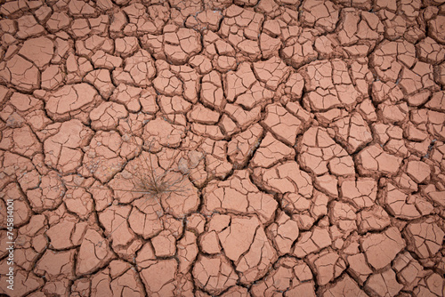The red soil is cracked and cracked from drought and pollution.