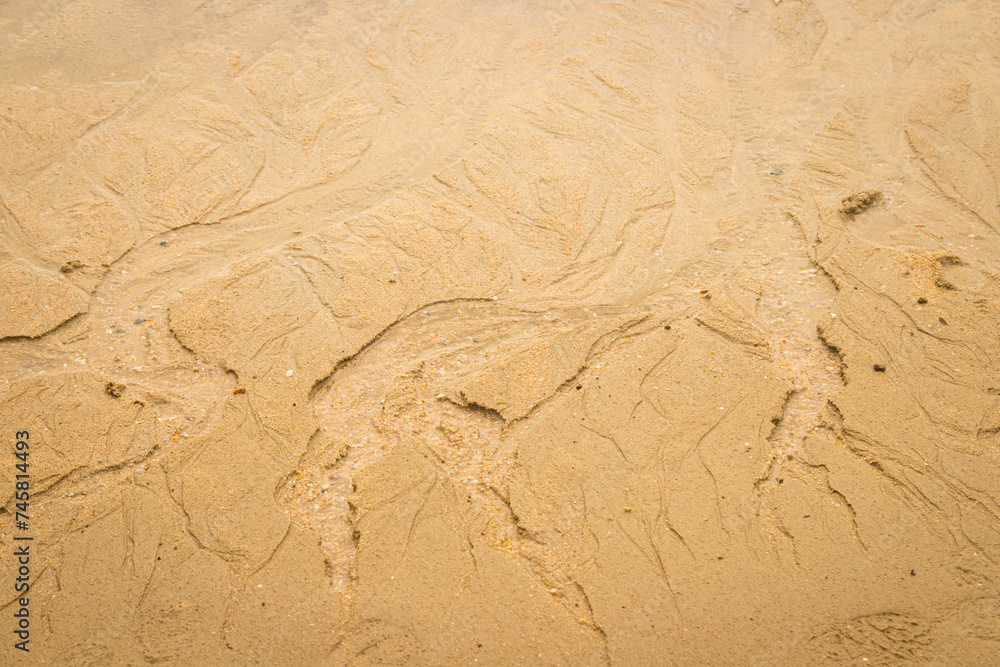 Water erodes the sand on the beach Water erodes the sand on the beach