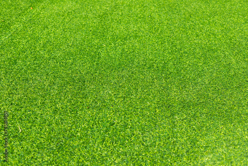 The top view of the grass garden is refreshing to look at. green grass texture background Ideas used for creating green backdrops photo