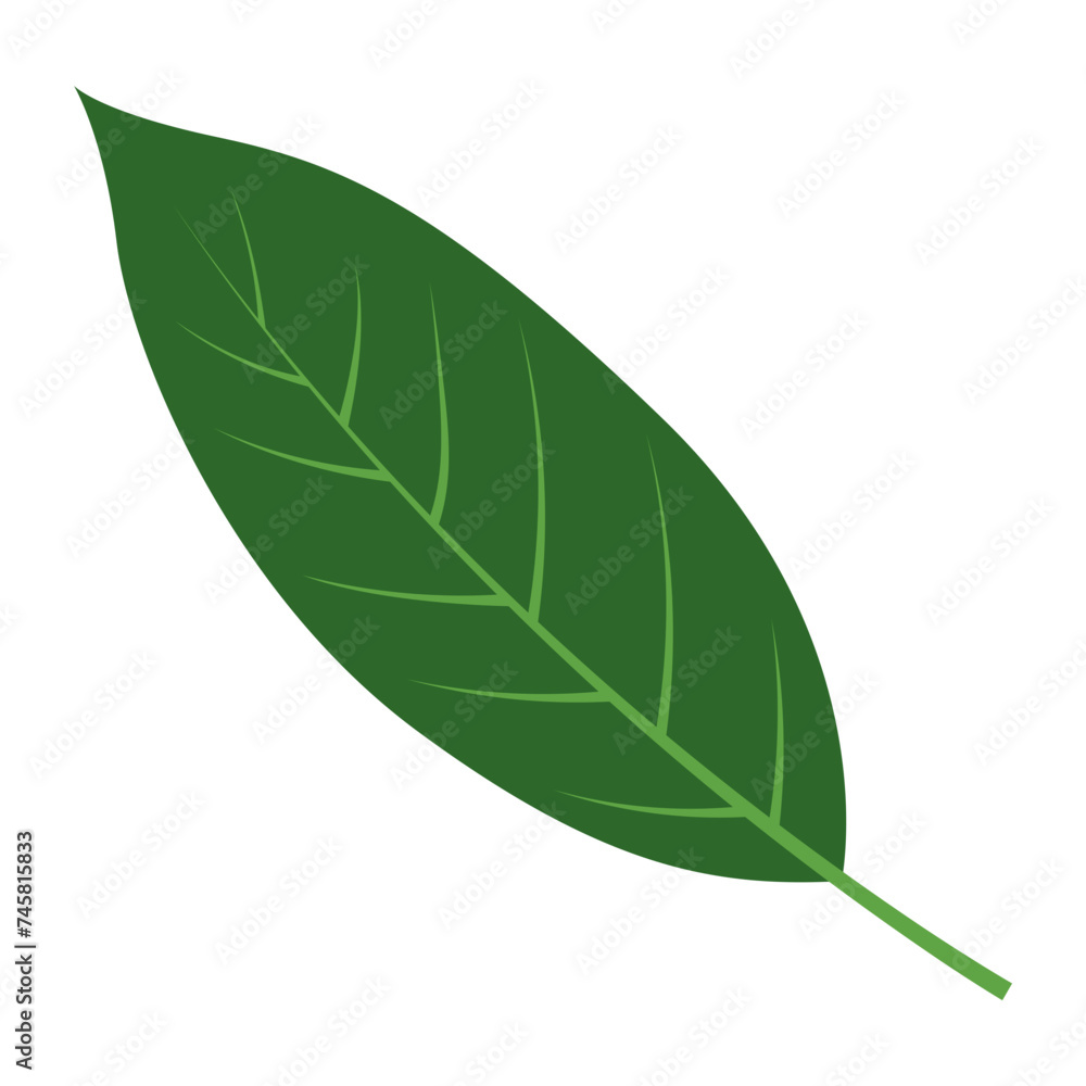 Obraz premium Tropical Leaf Element