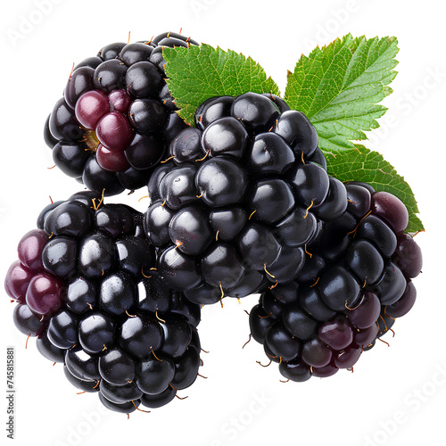 Blackberry fruit PNG. Blackberries isolated. Blackberry top view PNG. Blackberries flat lay PNG