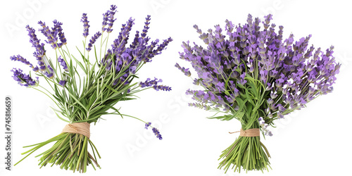 bouquet of lavender flowers  isolated on transparent background