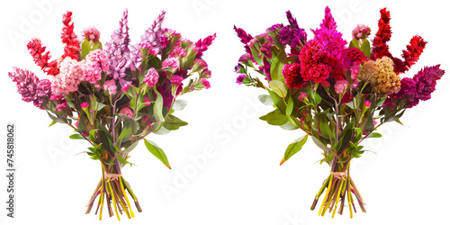 summer season flowers bouquet made with Celosia isolated on transparent background