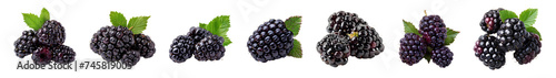 Set of blackberries PNG. Blackberry fruit set PNG. Blackberry fruit PNG. Blackberries isolated. Blackberry top view PNG. Blackberries flat lay PNG